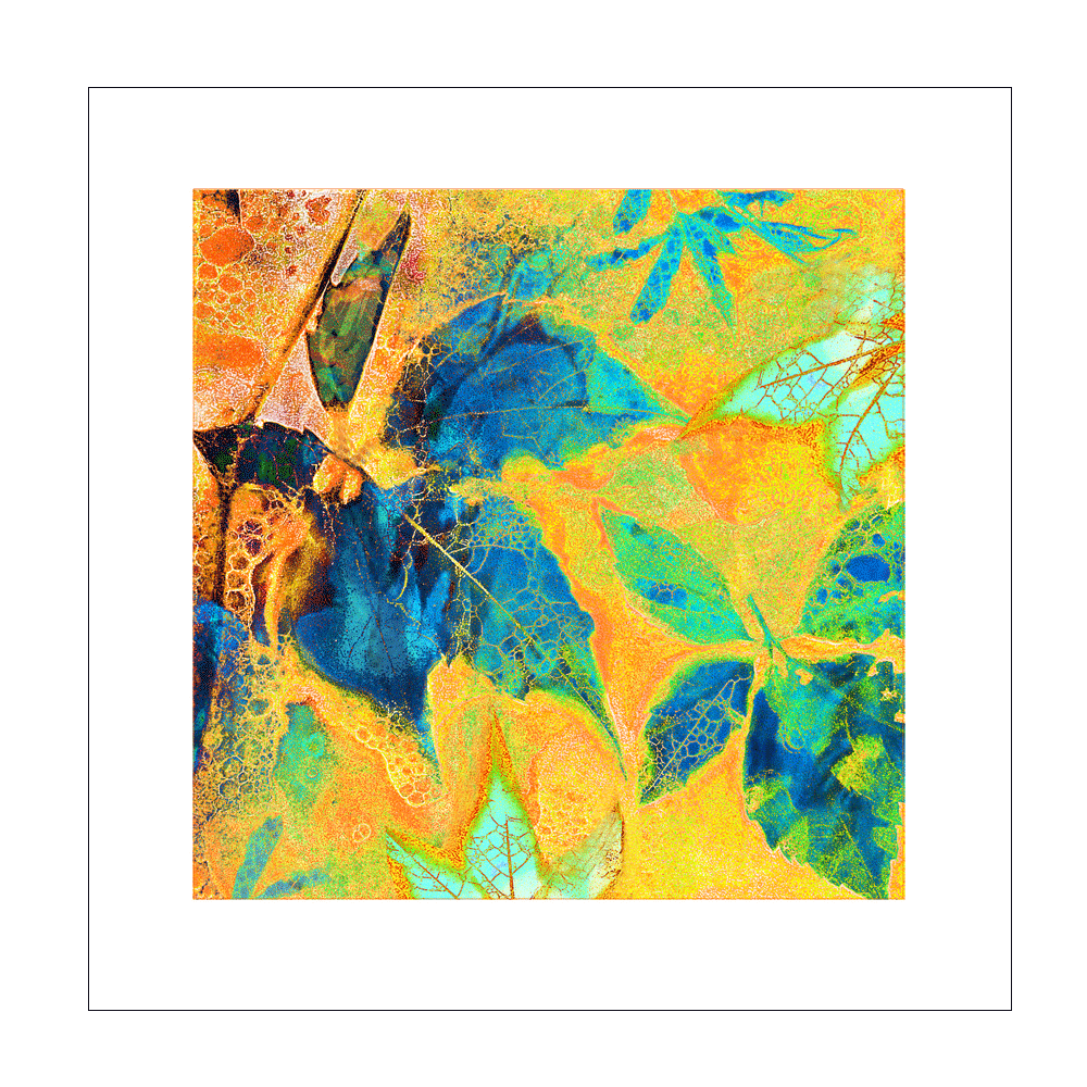 Leafy-Glade-Front.gif