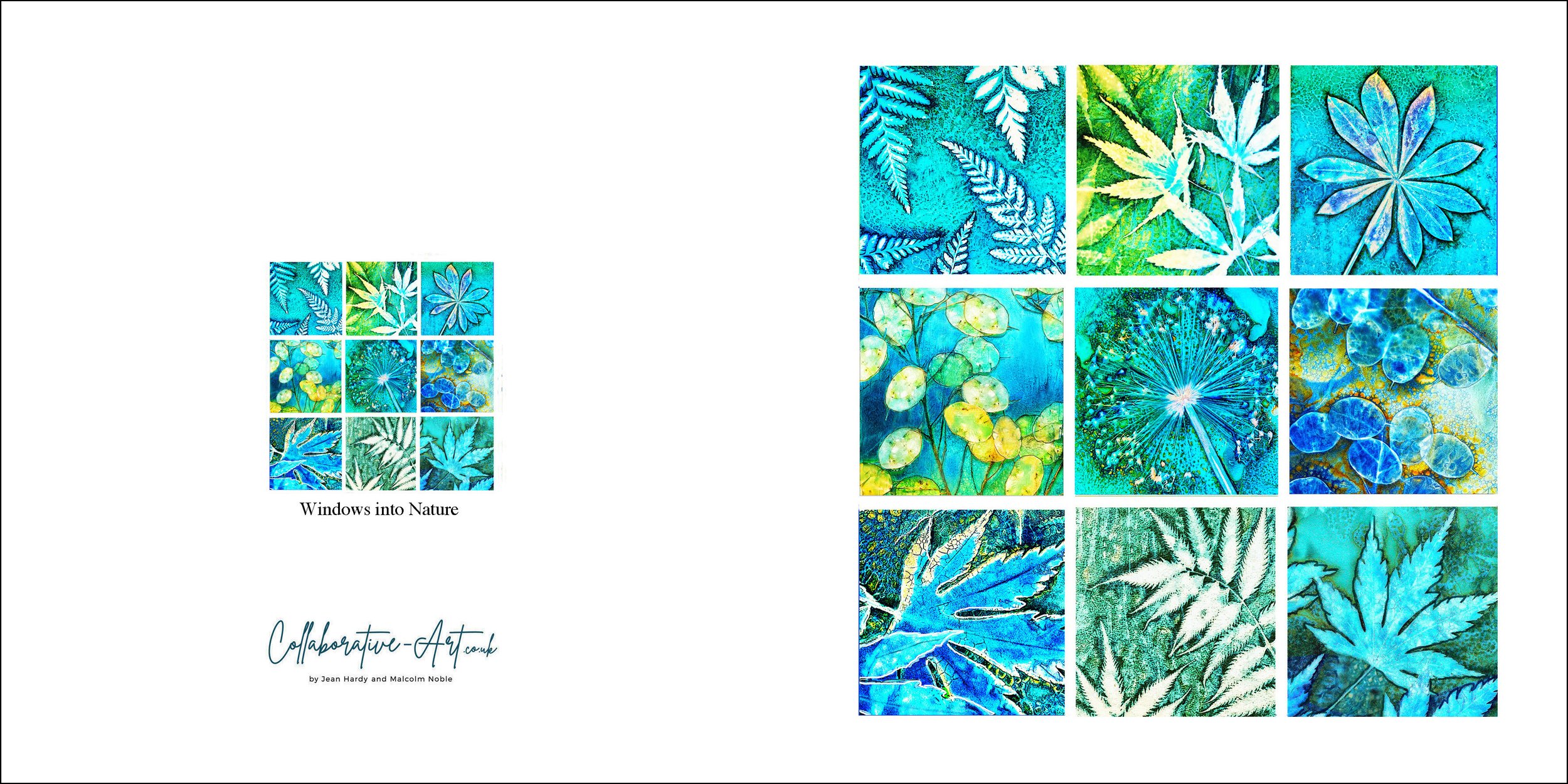 Windows into Nature Full.jpg