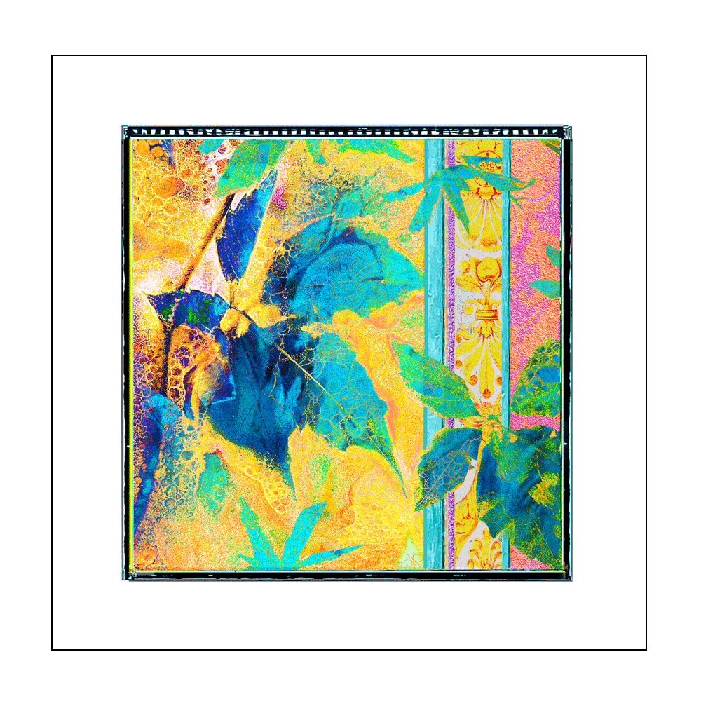 Cyanotype and More Greetings Card - 'Leafy Glade 2'