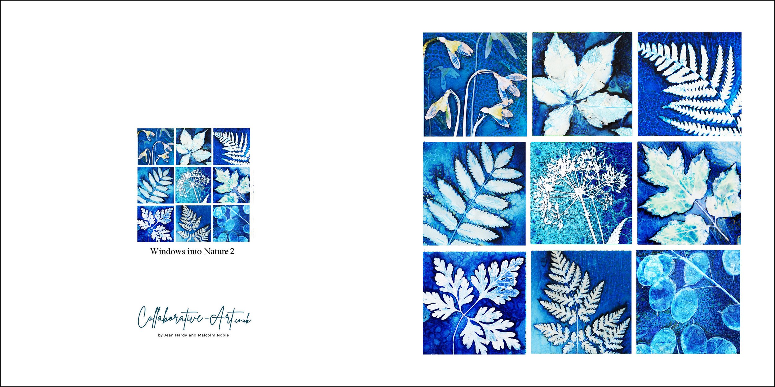 Windows into Nature 2 Full 2.jpg