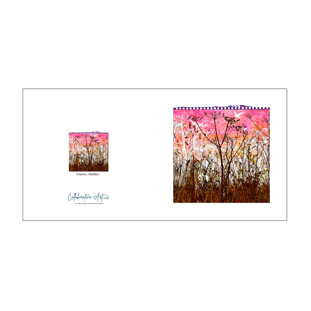 Staithes,-Grasses-Card.gif