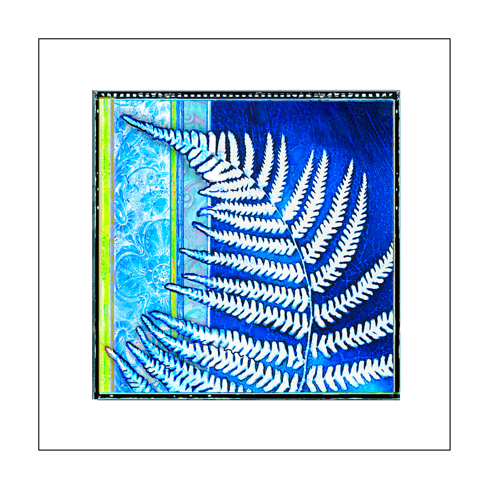Cyanotype and More Greetings Card - 'Curving Gracefully 2'