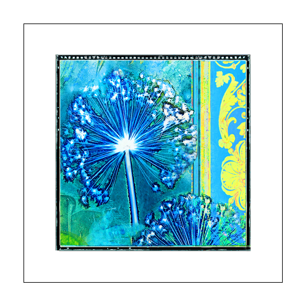 Cyanotype and More Greetings Card - 'Citrus Burst 2'