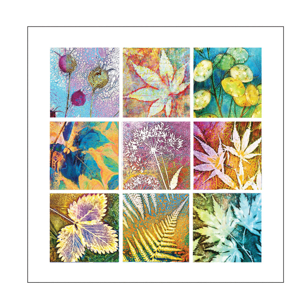Cyanotype and More Greetings Card - 'Windows into Nature 3'