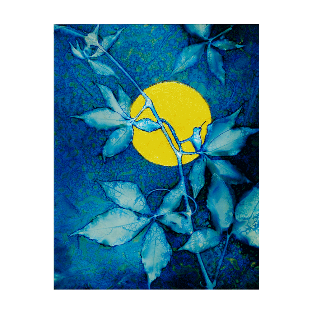 Follow-the-Sun-Unmounted.gif