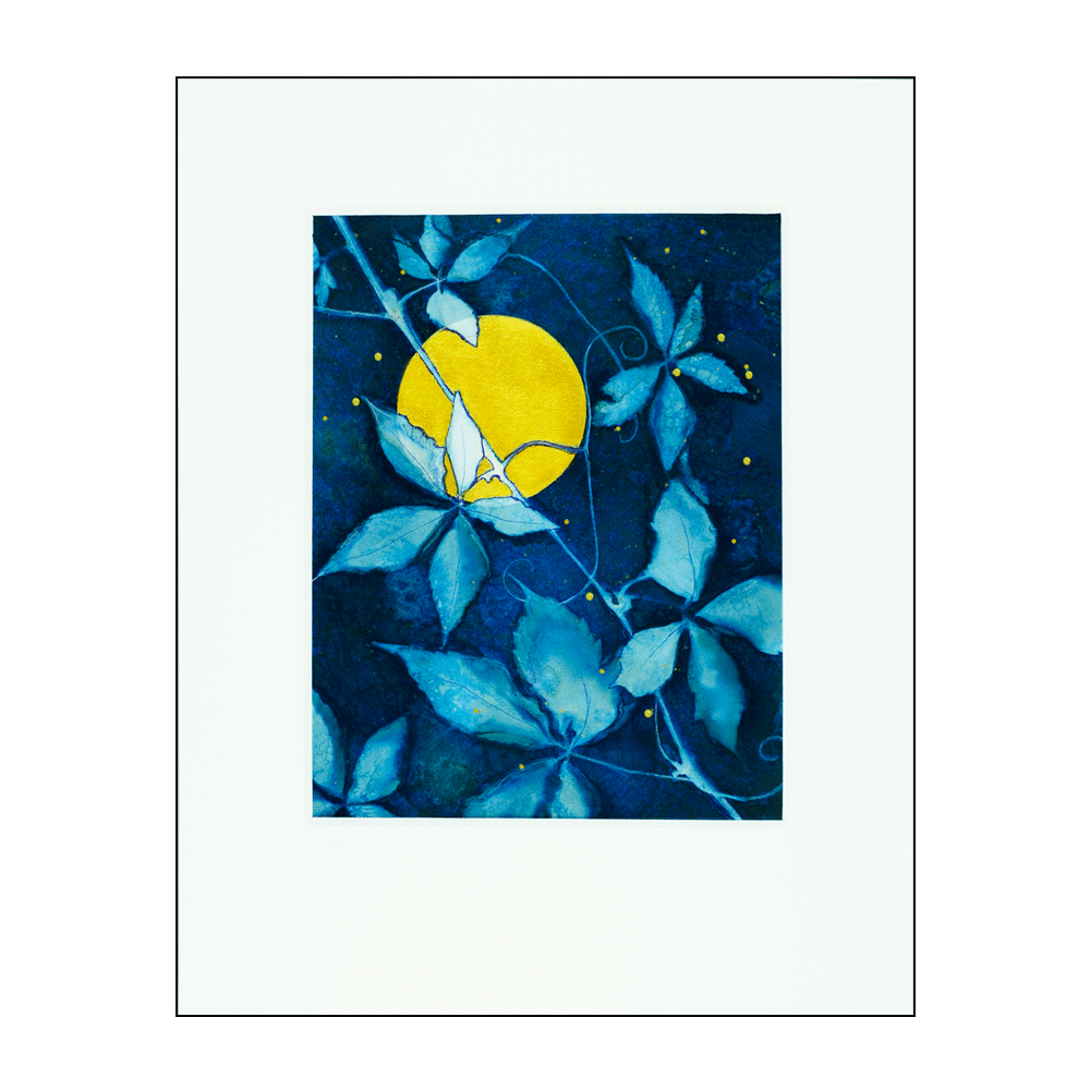 Indigo-Blue.gif