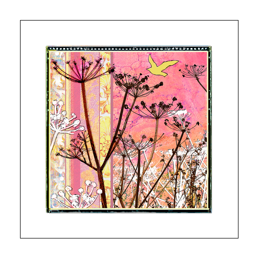 Cyanotype and More Greetings Card - 'Angela's Grasses 2'