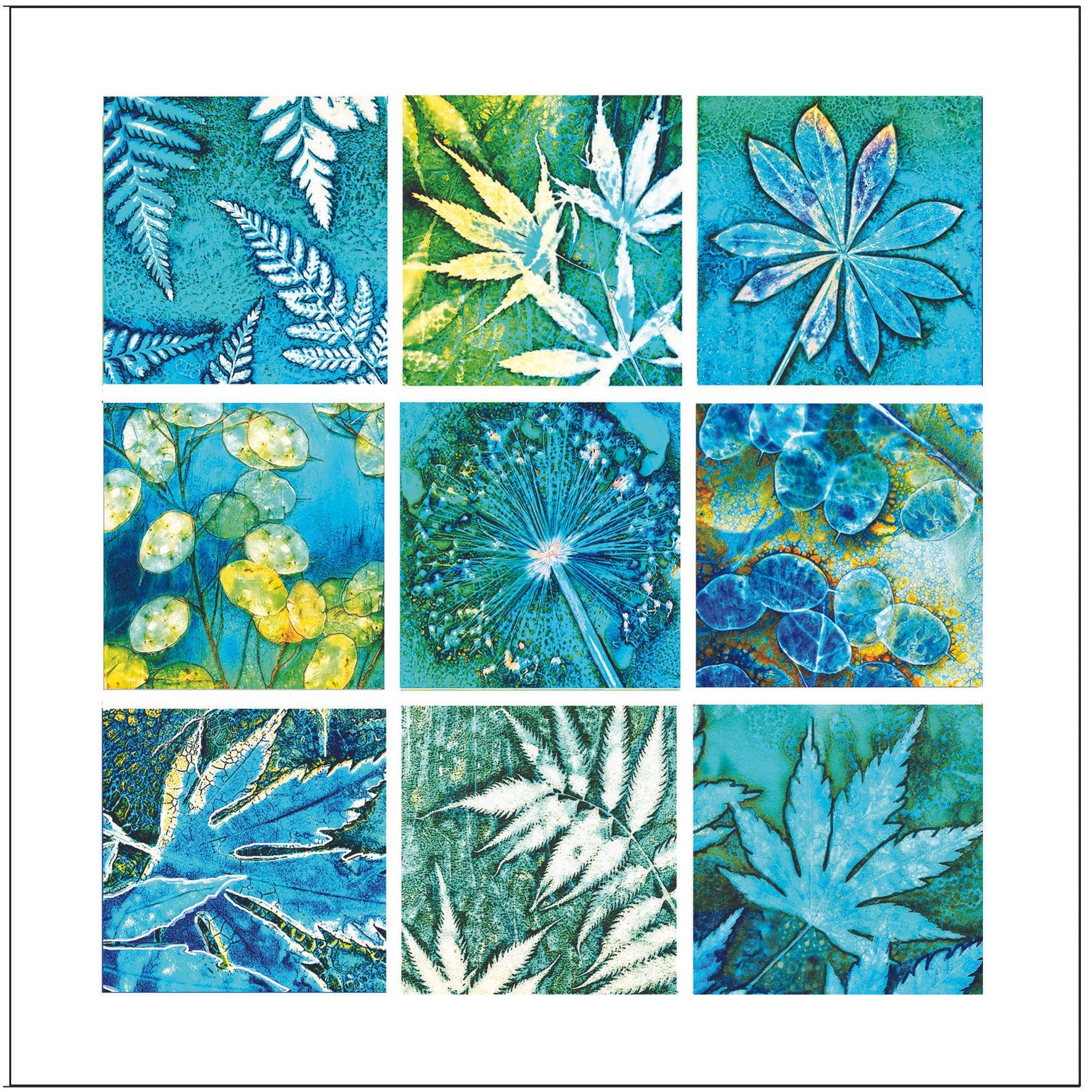 Cyanotype and More Greetings Card - 'Windows into Nature'