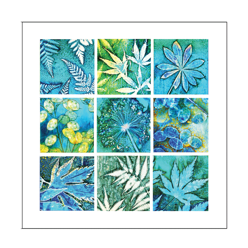 Windows-into-Nature.gif
