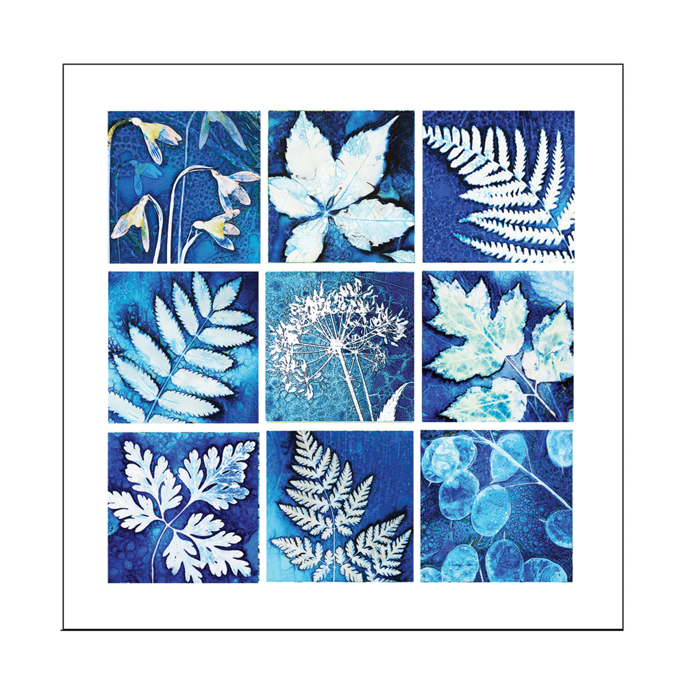 Cyanotype and More Greetings Card - 'Windows into Nature 2'