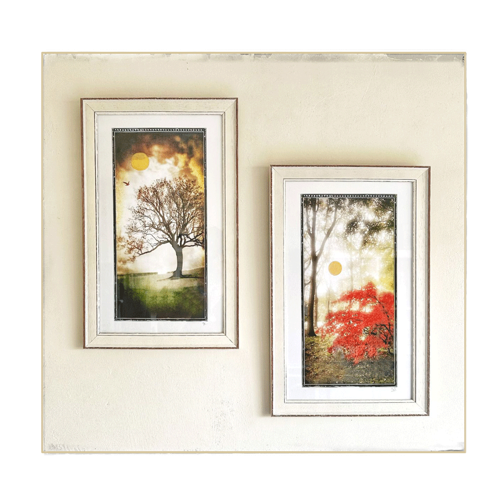 Landscape-Panoramas.gif
