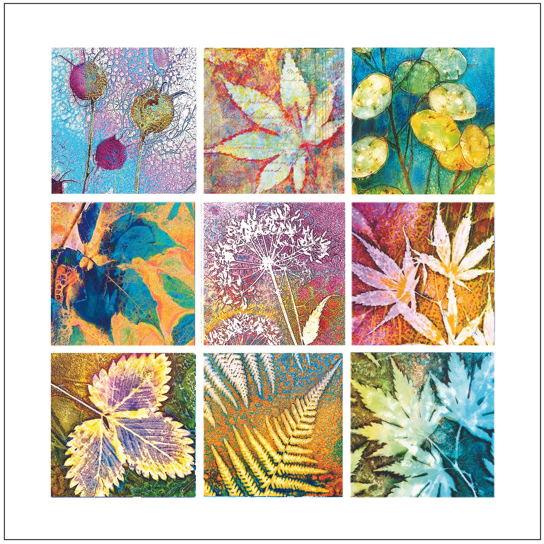 Cyanotype and More Greetings Card - 'Windows into Nature 3'