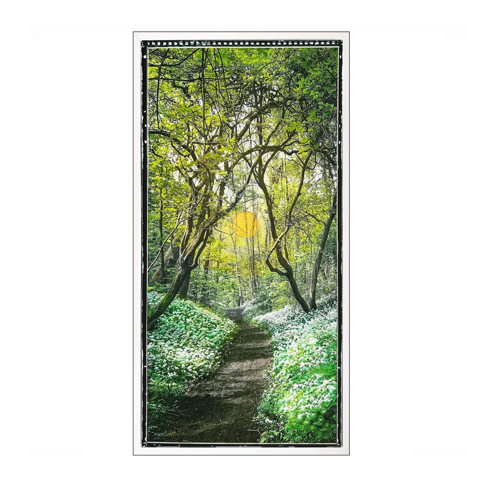 Woodland-Walk-Panorama.gif