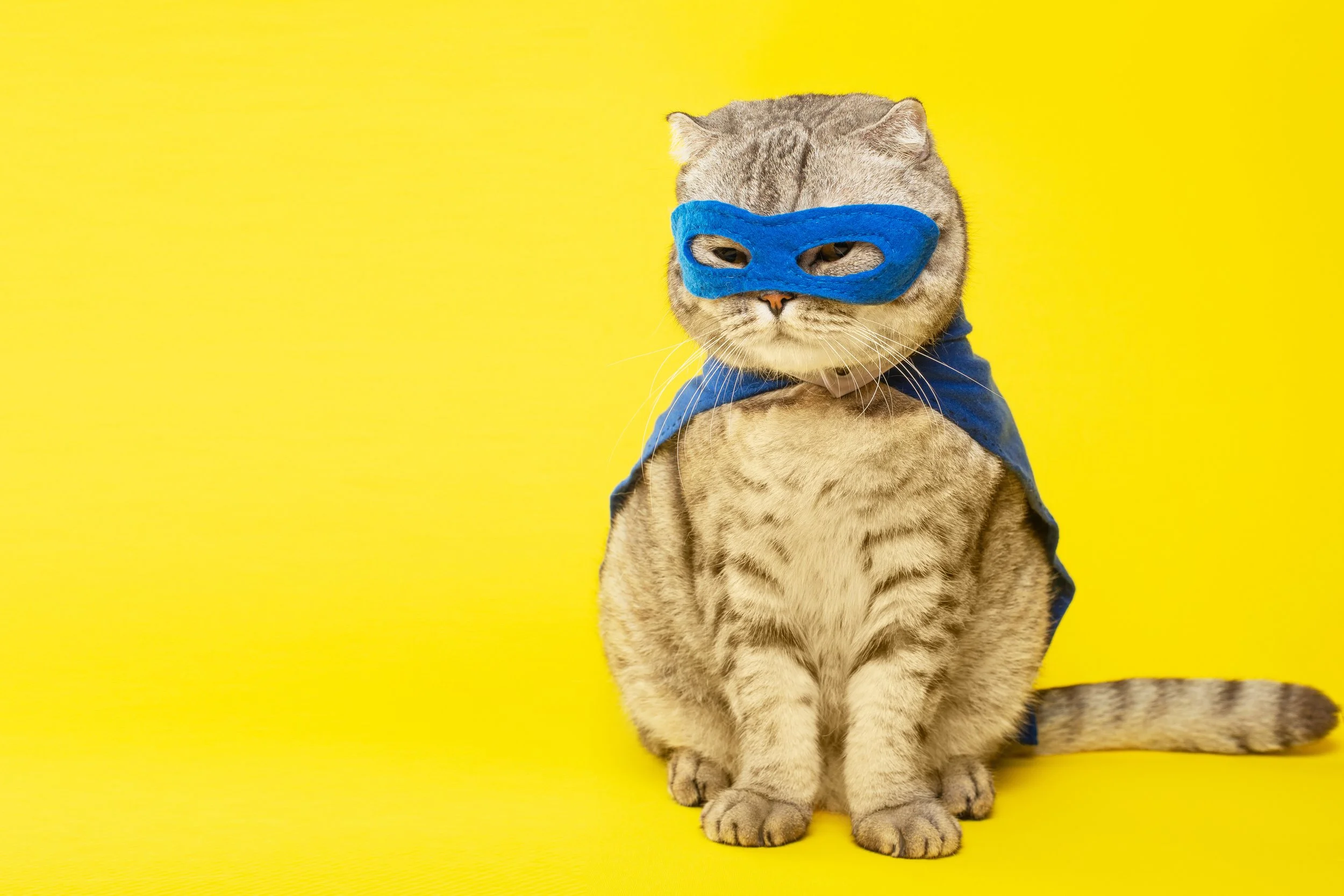 How to make your property chain more secure