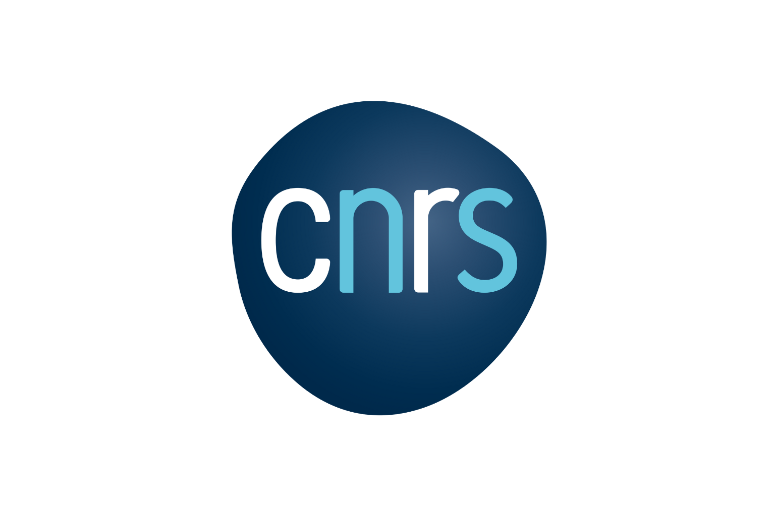 CNRS.png