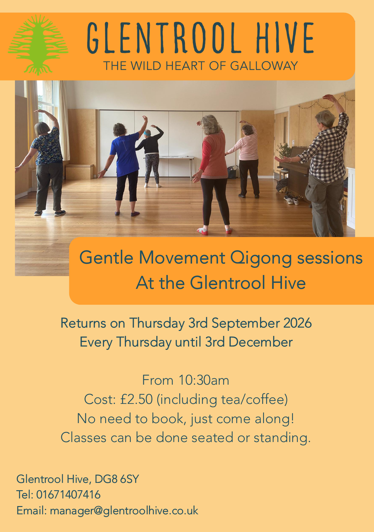 Gentle Movement Qigong Sessions