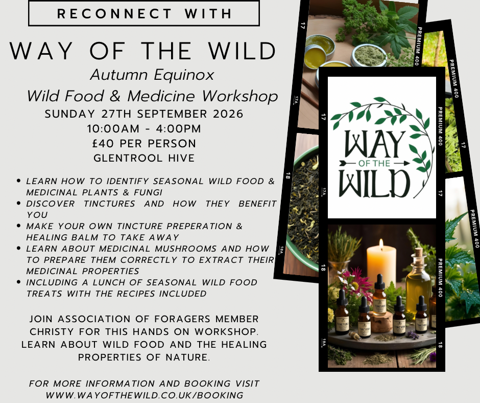 Wild Food & Medicine Workshop