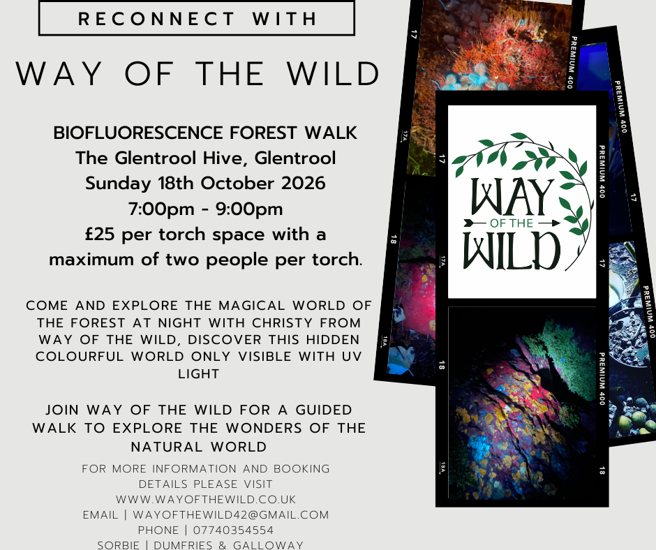 Biofluorescence Walk