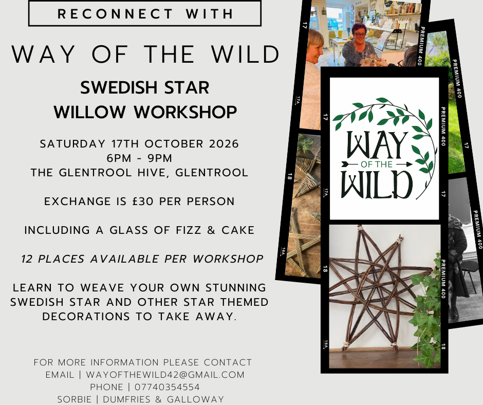 Willow Swedish Star Workshop