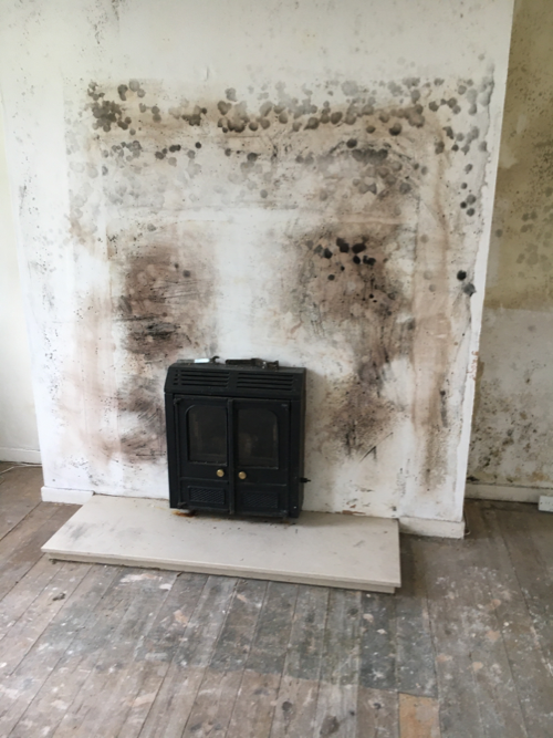 Fireplace Before