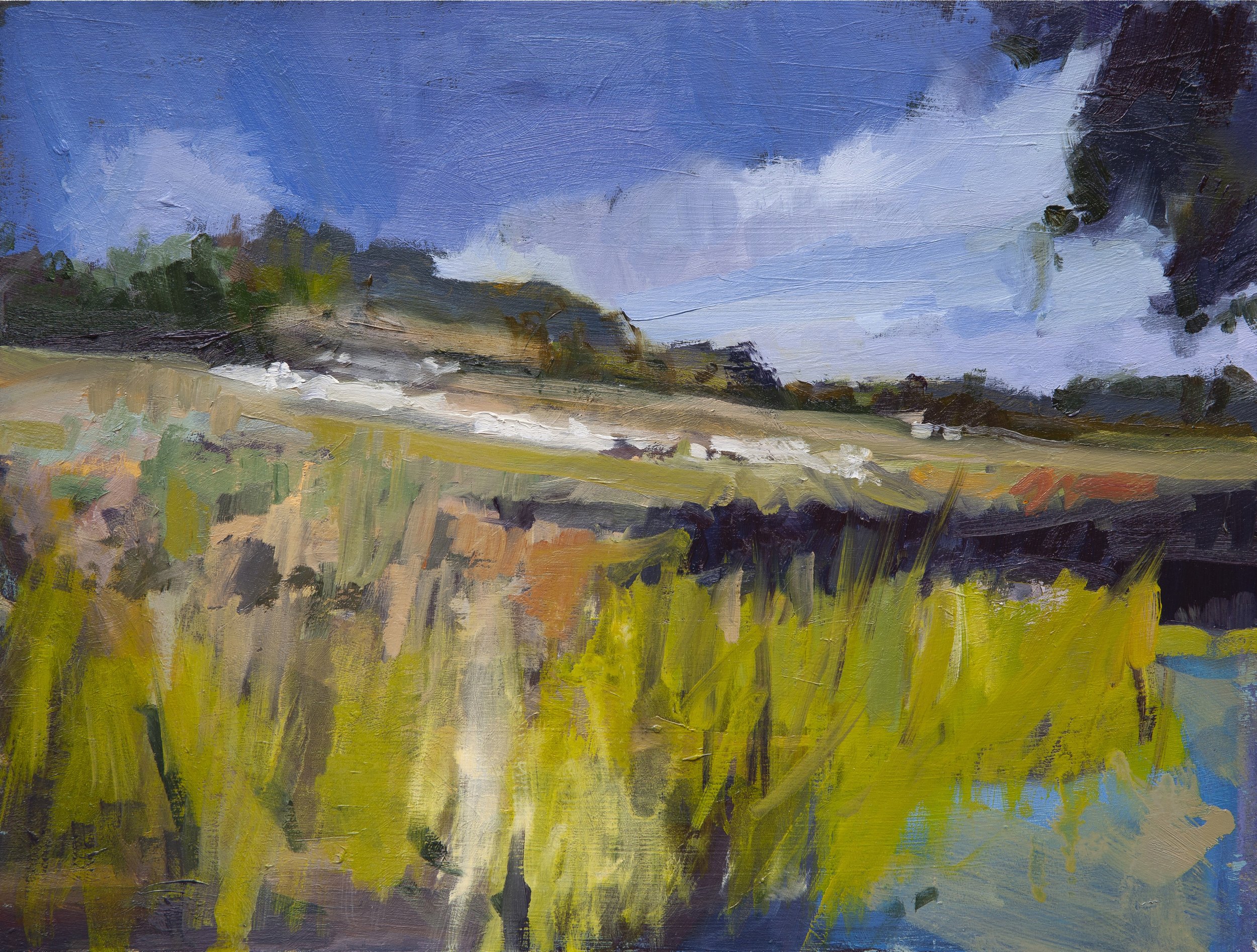Daisy Field, 2026