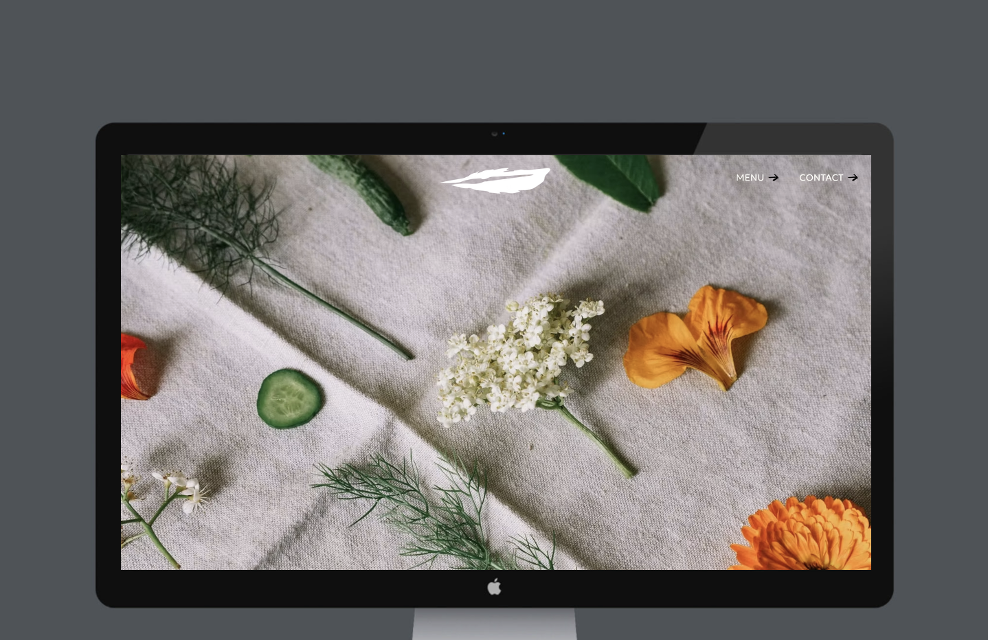 Recent Website Design &amp; Branding Projects by Digital Touch