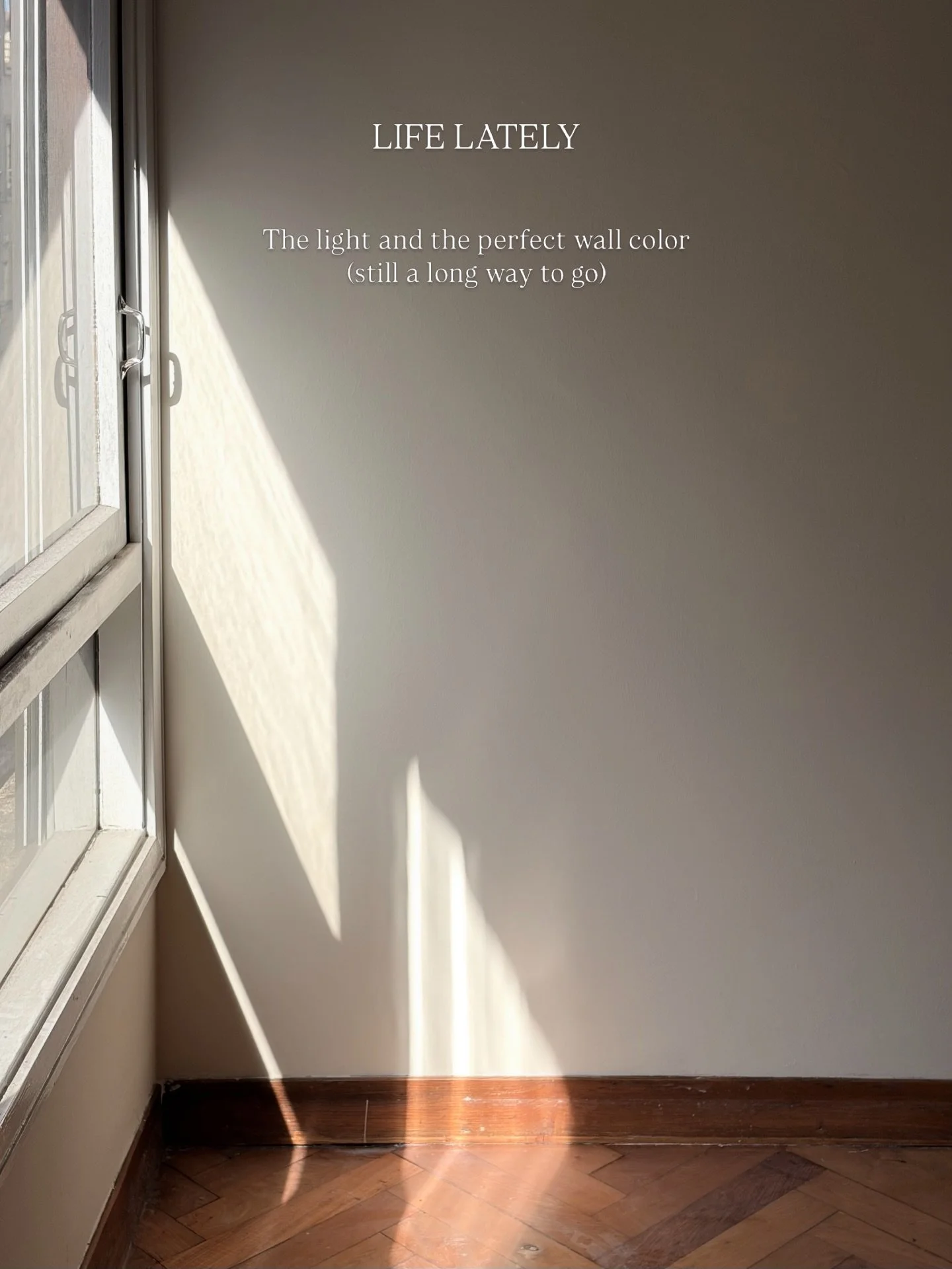 We know we&rsquo;re not very good at sharing behind the scenes here, but a lot of beautiful things have been happening lately and we don&rsquo;t want to forget them 🥹🤍