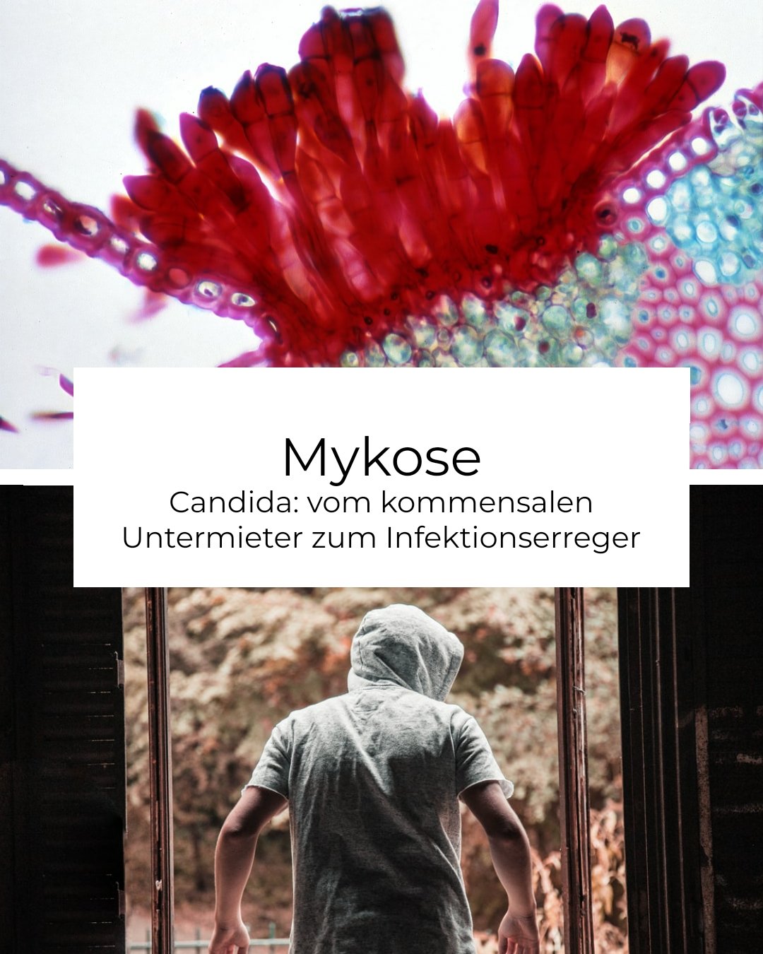 Mykose/Candida (Aufzeichnung)