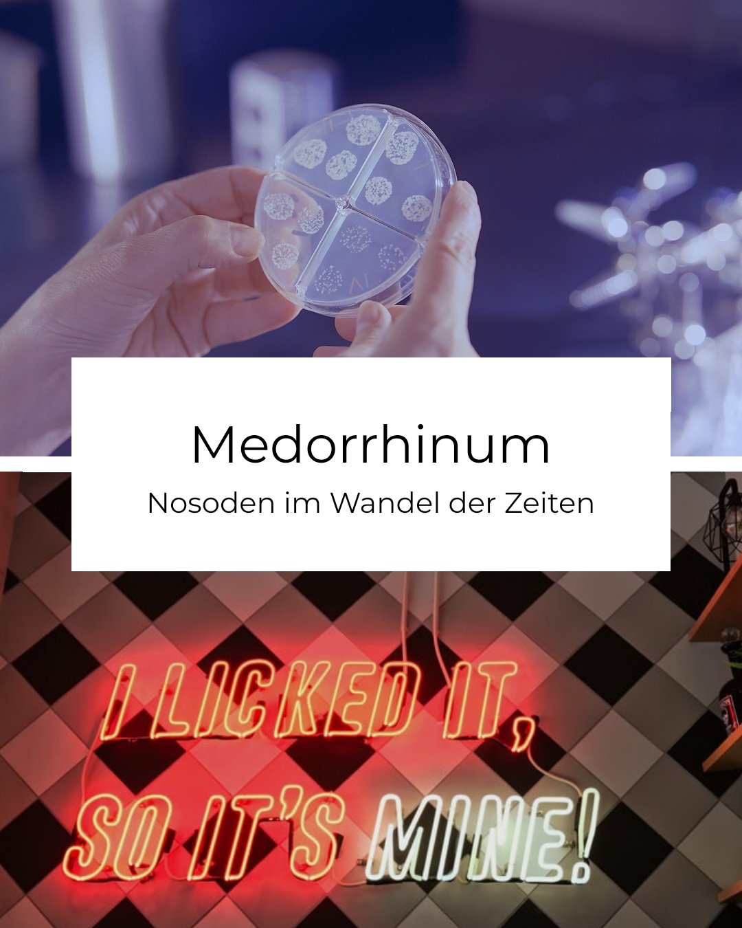 Medorrhinum (Aufzeichnung)