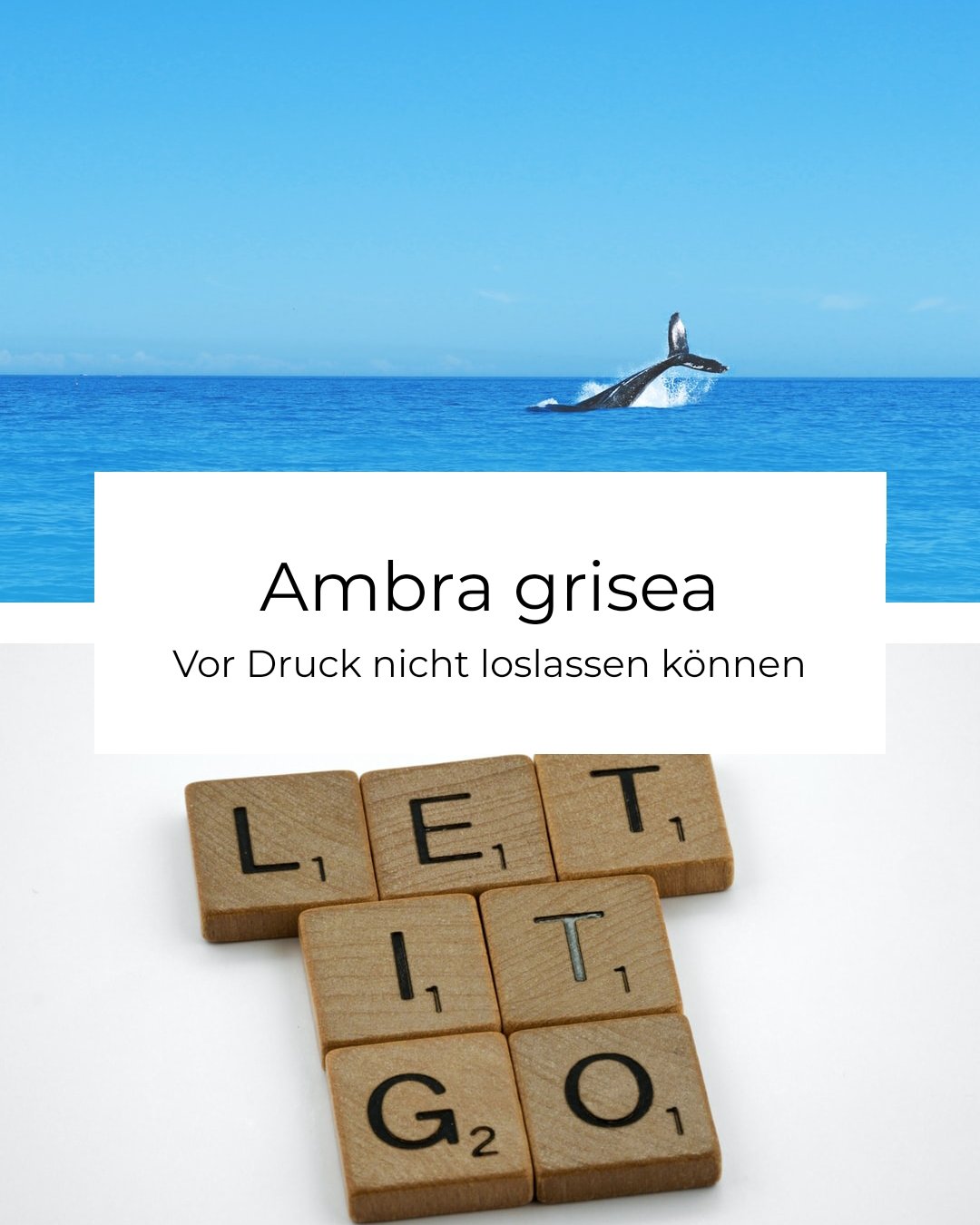 Ambra grisea (Aufzeichnung)