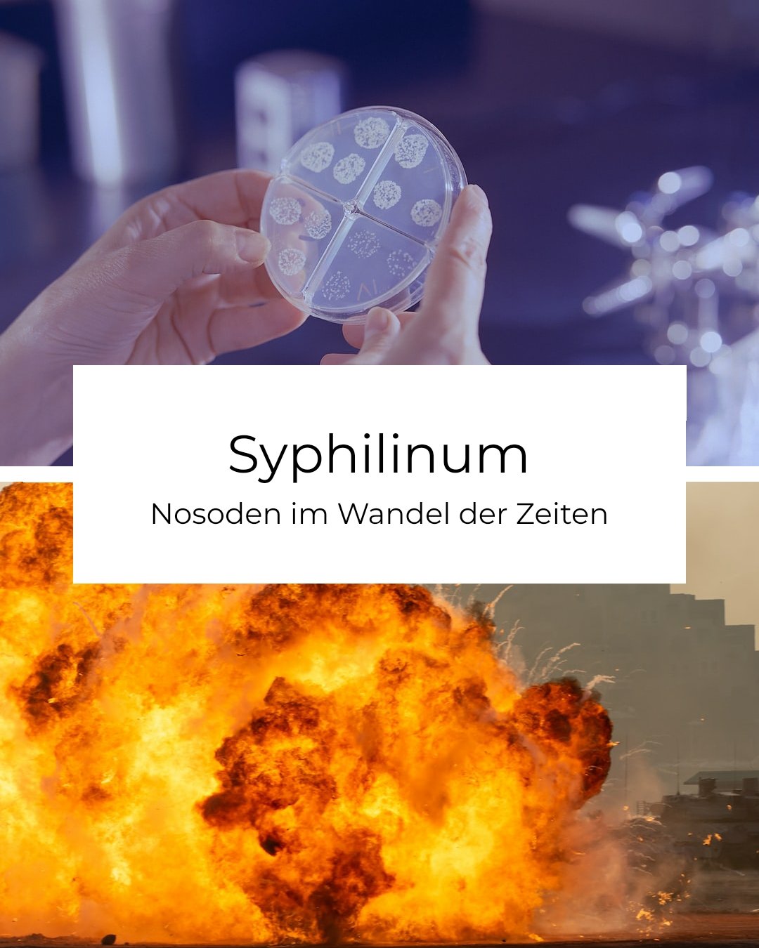 Syphilinum (Aufzeichnung)