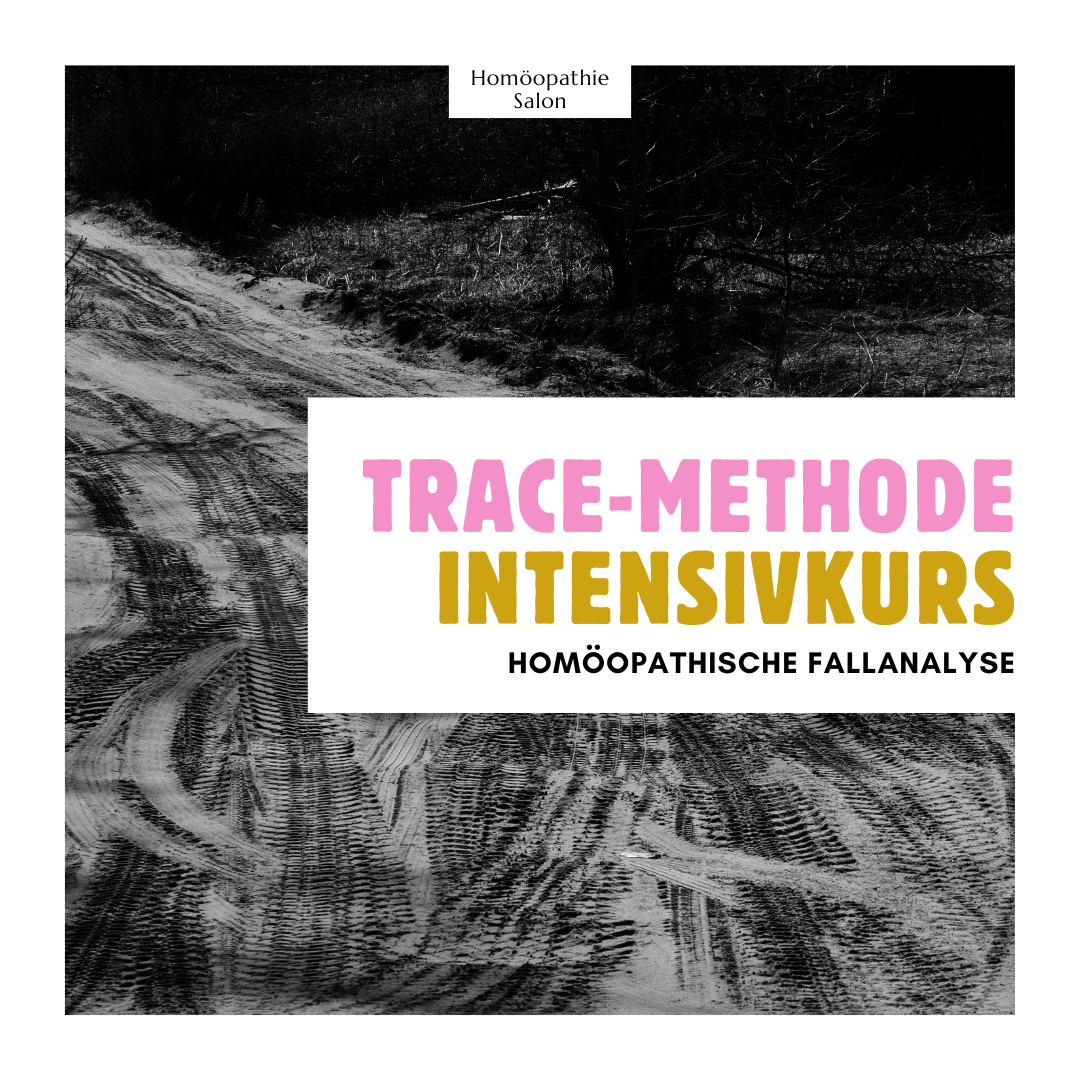 Intensivkurs: TRACE-Methode - homöopathische Fallanalyse