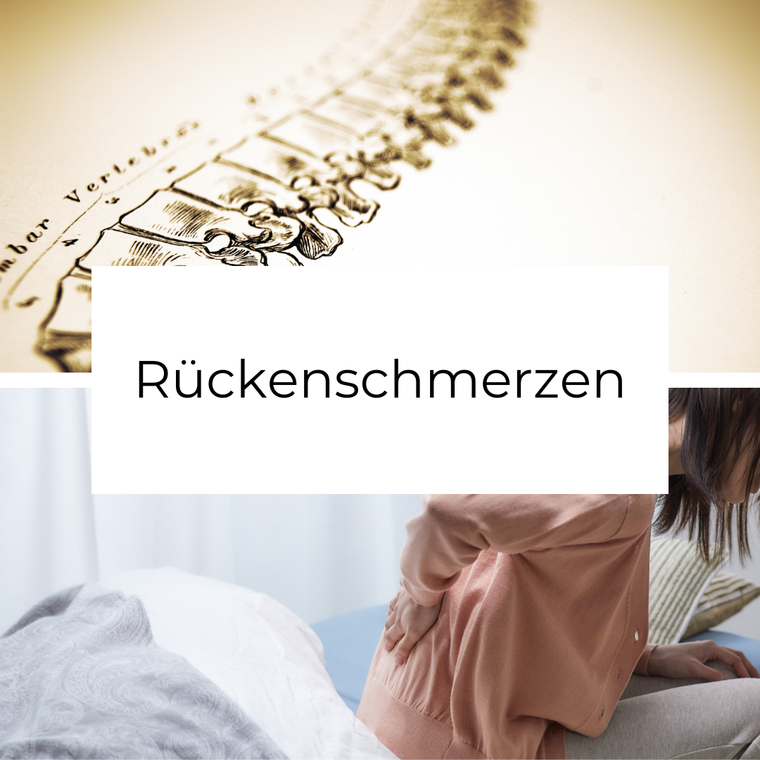 Rückenschmerzen.png