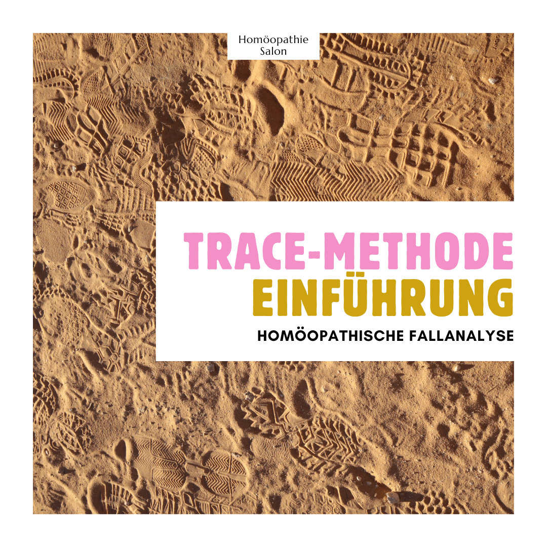 TRACE-Methode Einführung.png