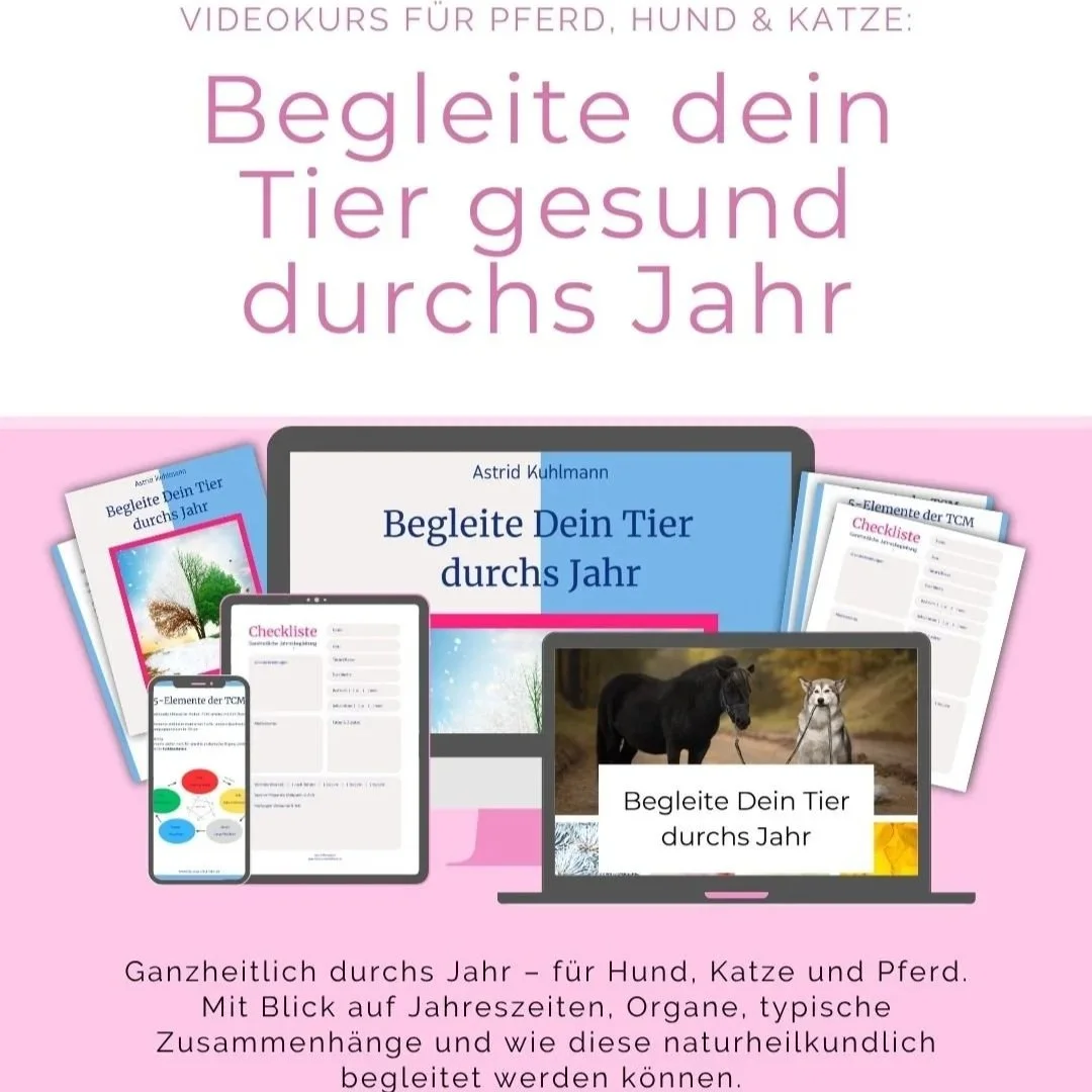 Begleite Dein Tier durchs Jahr (Videokurs)