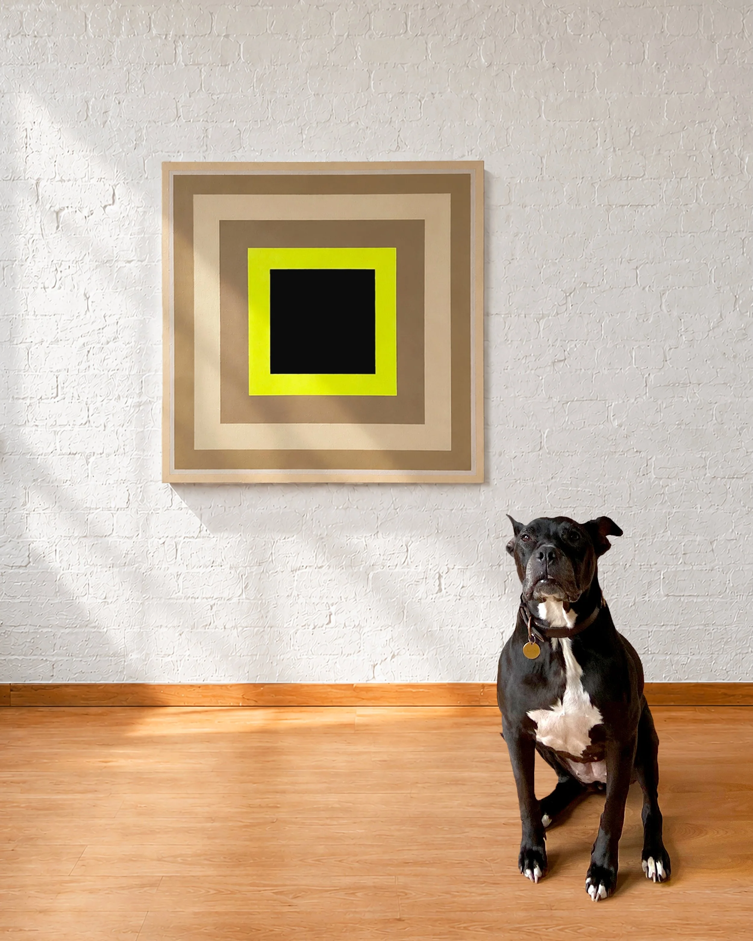 Lulu, studio sunlight and my Limelight painting.
Acrylic and emulsion on canvas 76 x 76cm