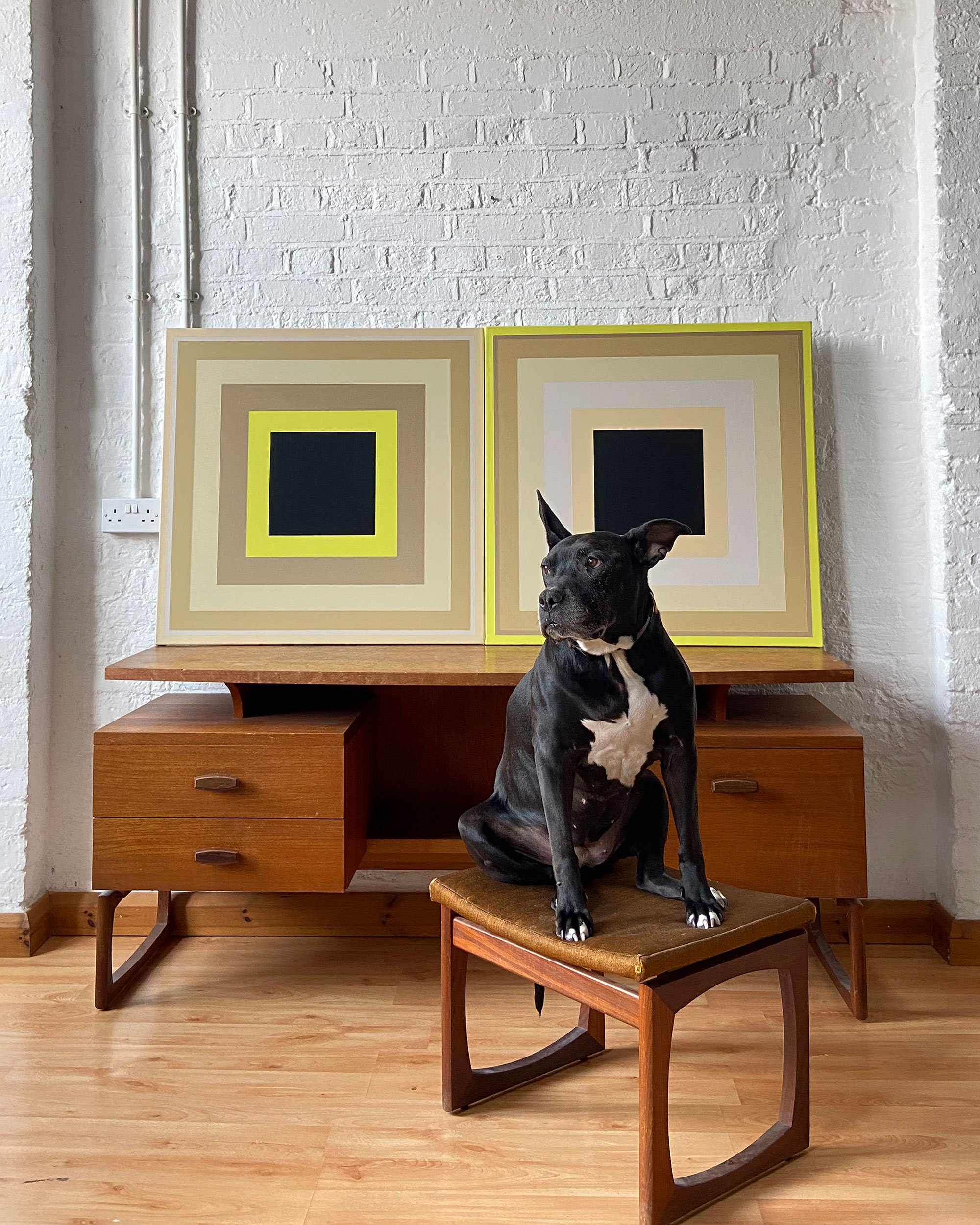 Eleanor Nadimi’s dog Lulu seated beside two framed geometric abstract paintings in her London studio.