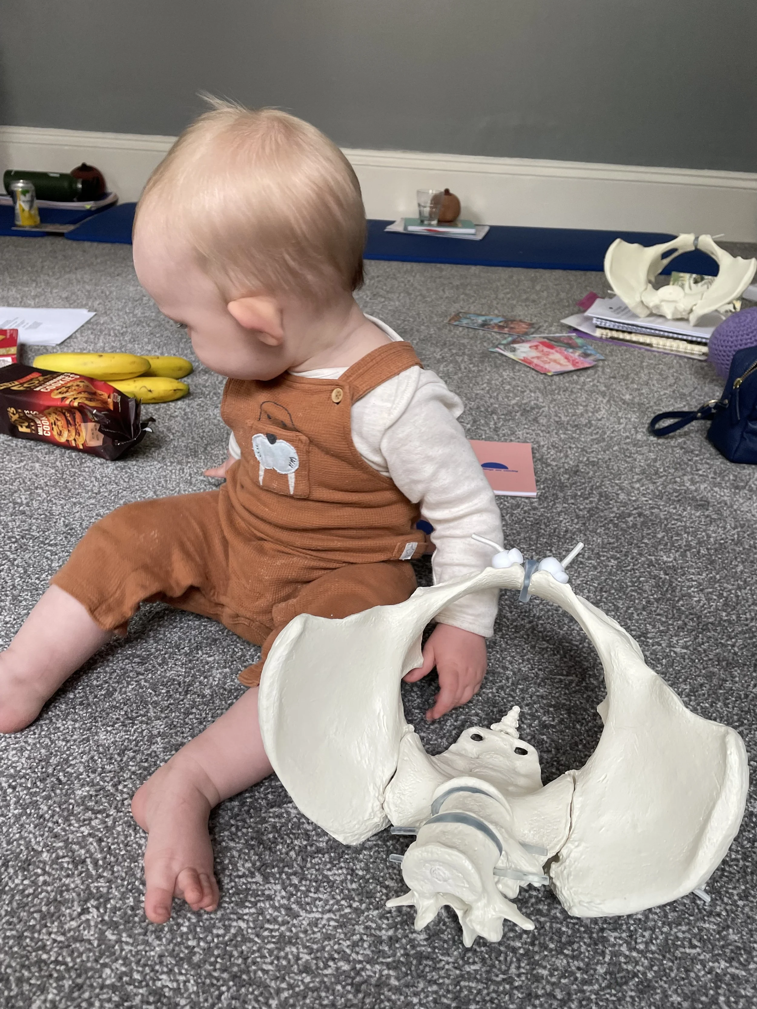 A Doula Diary guide to understanding, healing, and trusting your incredible body