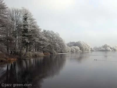FROST - trees, lake, water, ice.