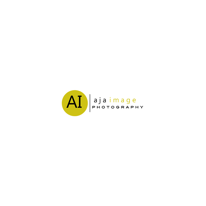 aja-300.png