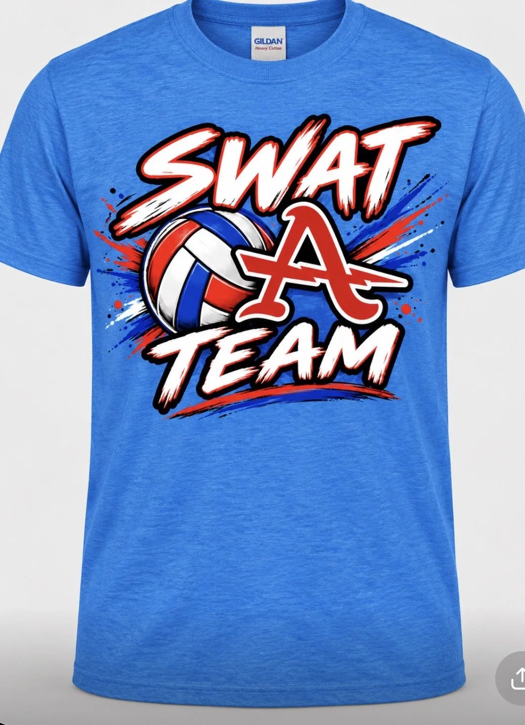 Albia Volleyball Swat Team
