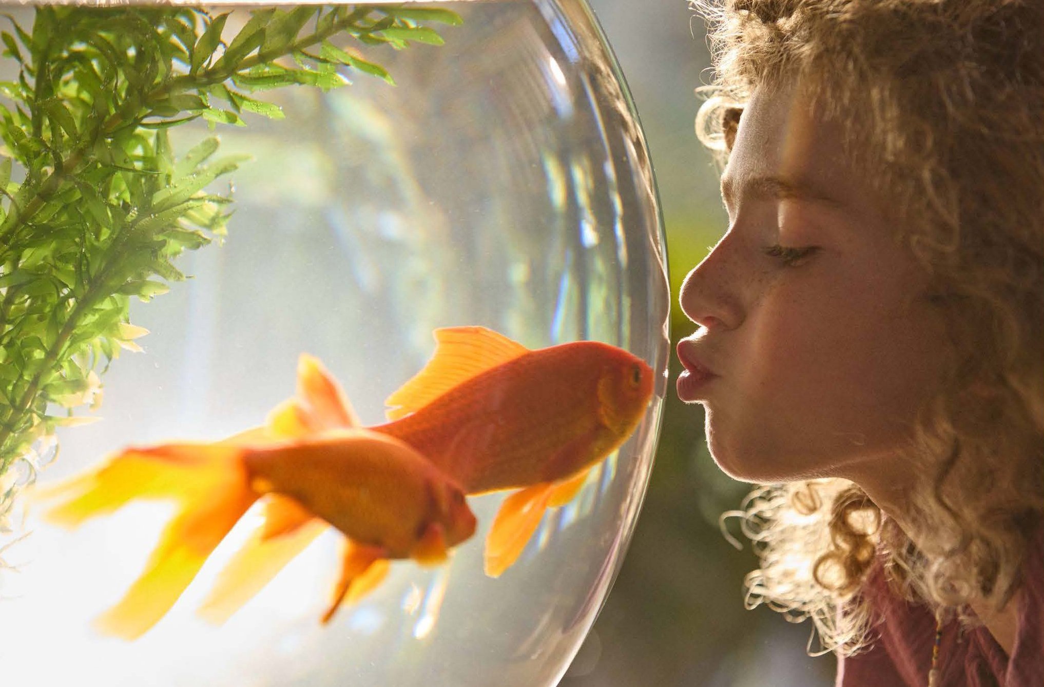 251201_enercity_Smart Energy Kampagne 2026_Bildauswahl_Page_07.jpg