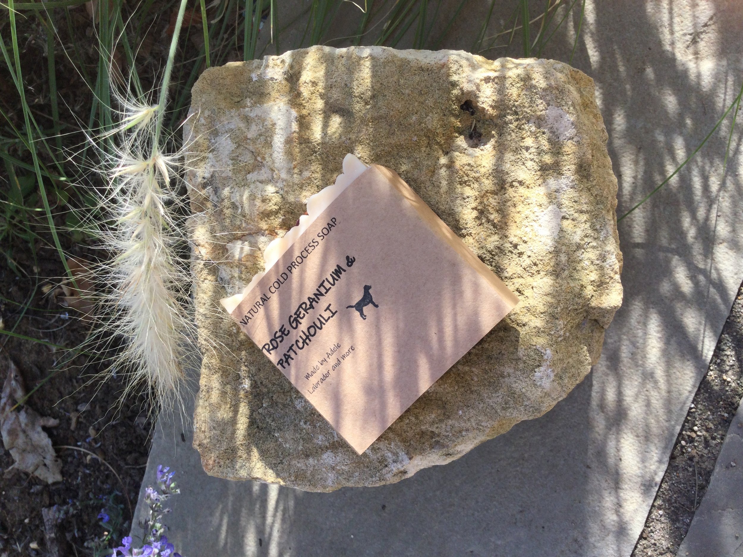 ROSE GERANIUMM IN WRAP ON STONE .jpg