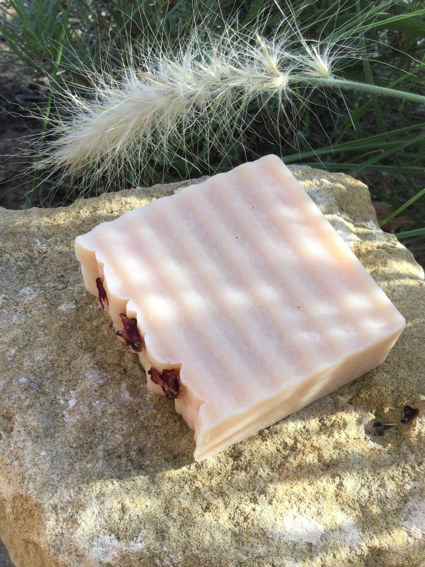 rose+geranium+on+stone.jpg