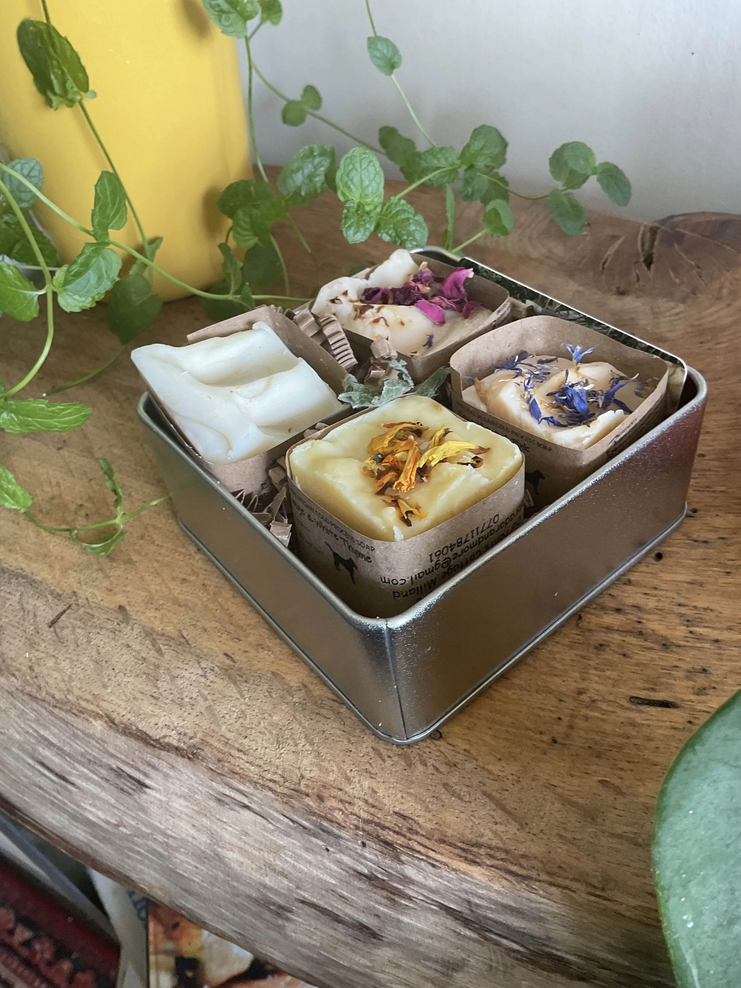 Tin of mini soaps a perfect gift.