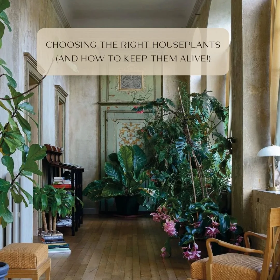 Your home deserves a little green magic. 🌿

Choosing the right houseplants isn&rsquo;t just about aesthetics (though, let&rsquo;s be honest&mdash;they&rsquo;re stunning). It&rsquo;s also about how they make you feel.

✨ Plants can boost your mood, r