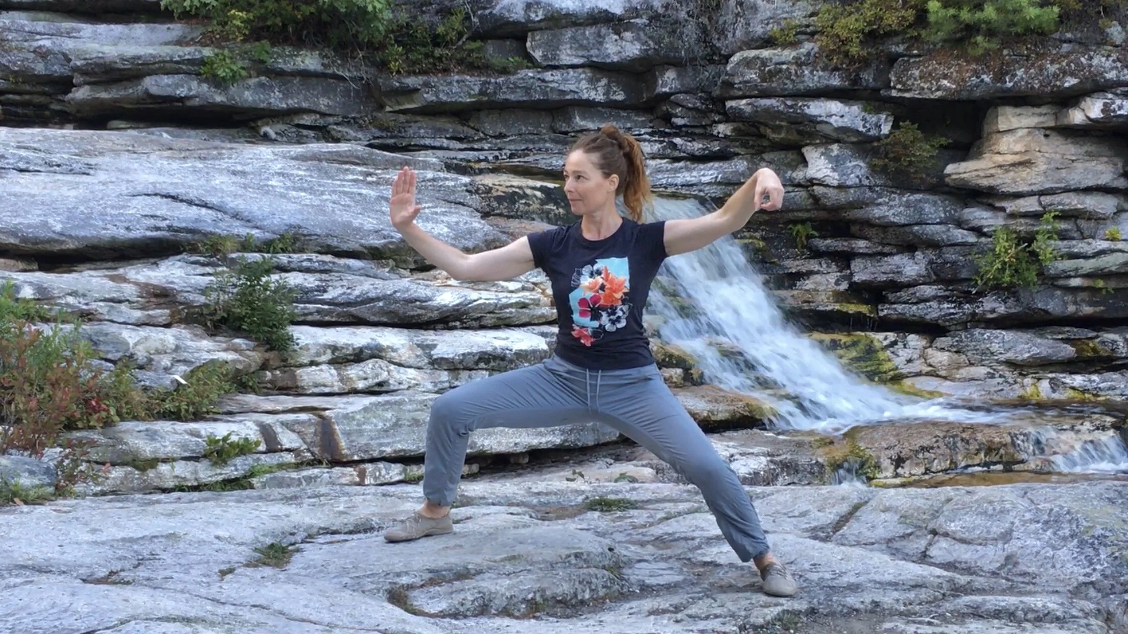 Julia K Tai Chi. Single Whip.jpg