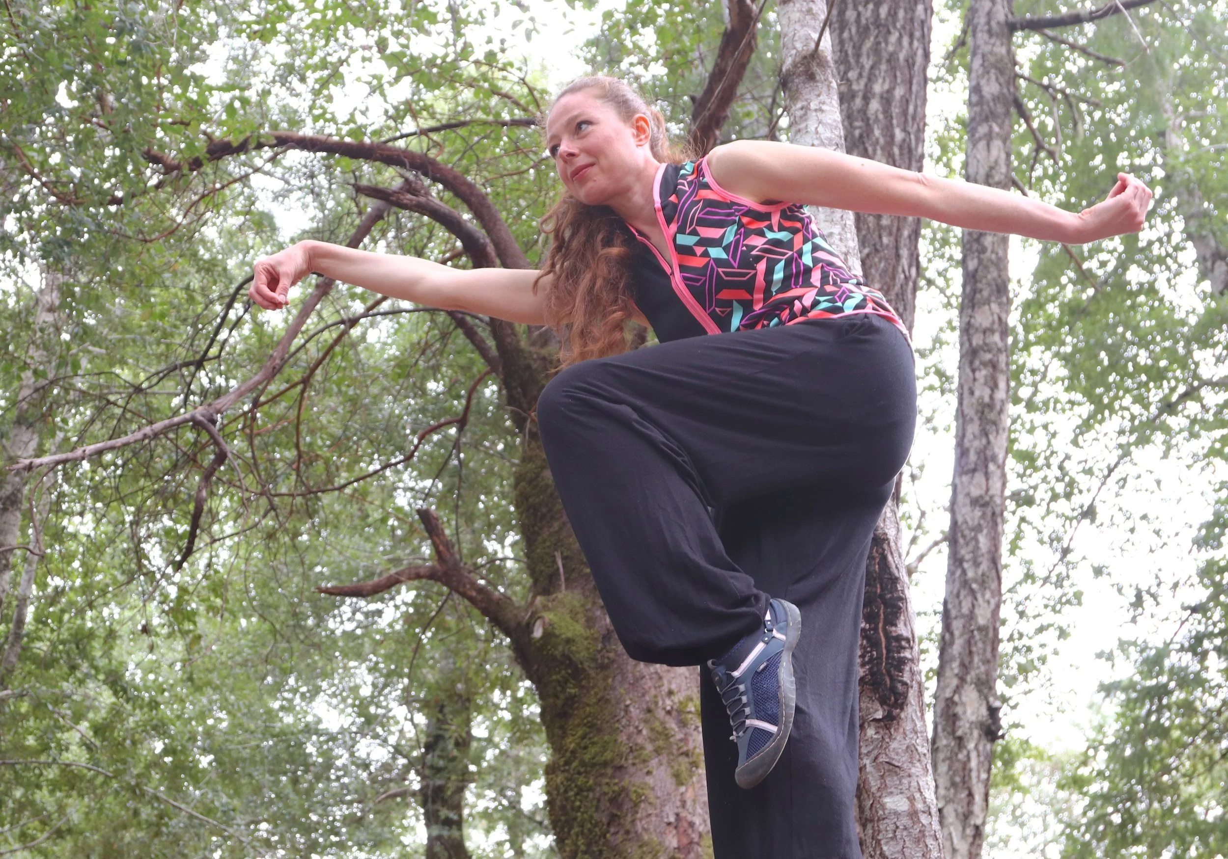 Julia KQi Gong. DeerRun.jpg