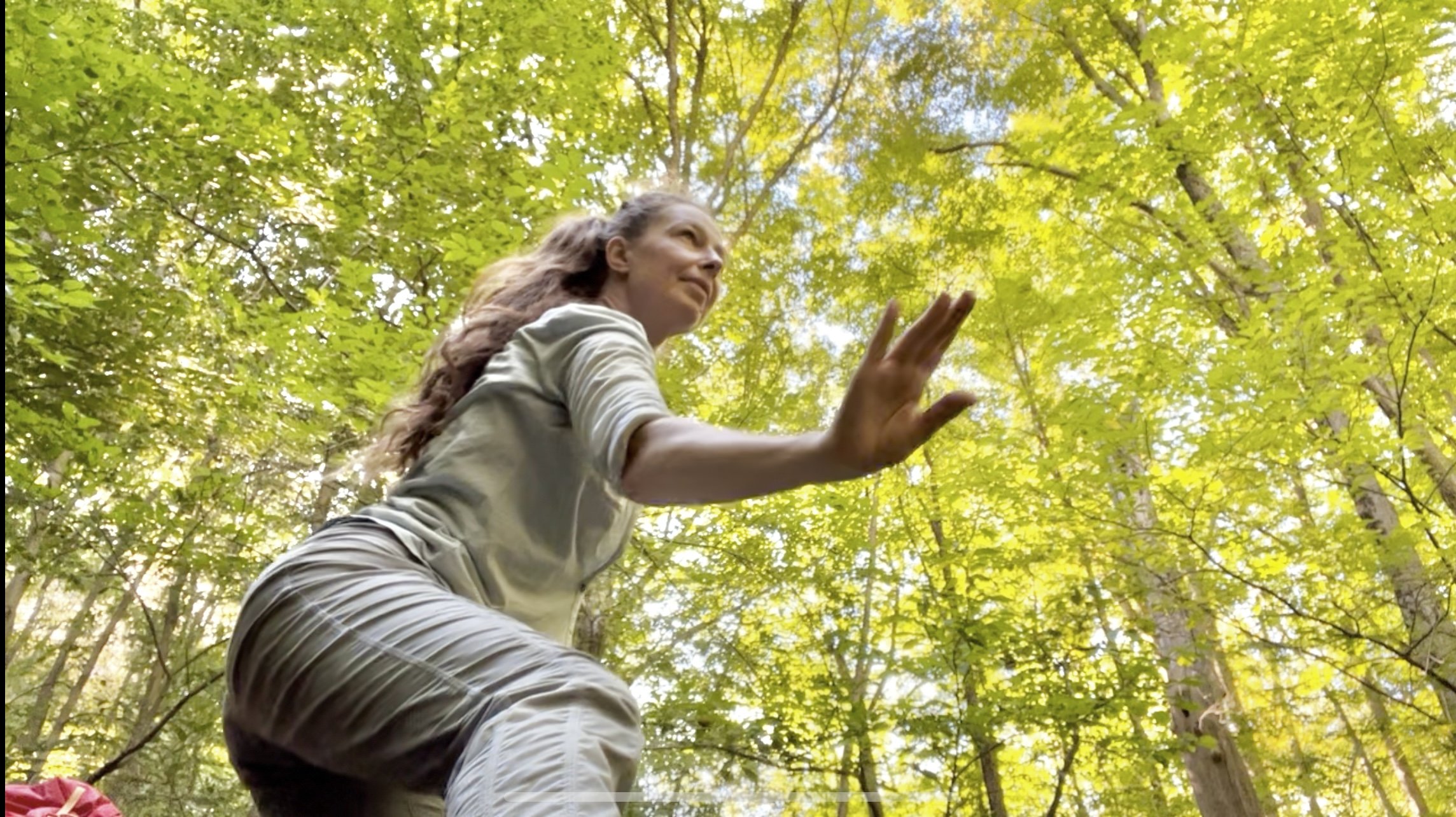 Julia K green Tai Chi. Brush Knee.jpg