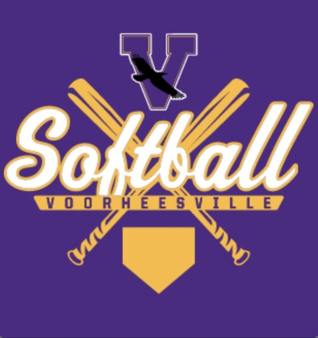 Safe! VCSF Awards Voorheesville Softball Booster Grant